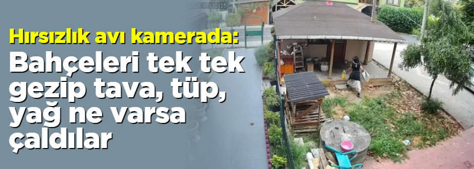çingene